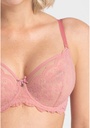Rose A123 Rozy