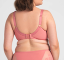 Rose A910 rosy