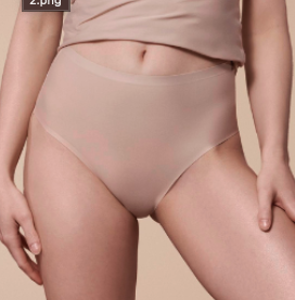 Seamless Panty Flexi Maxi Nude