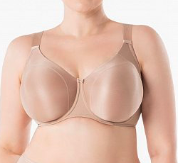 Bliss Moulded Bra